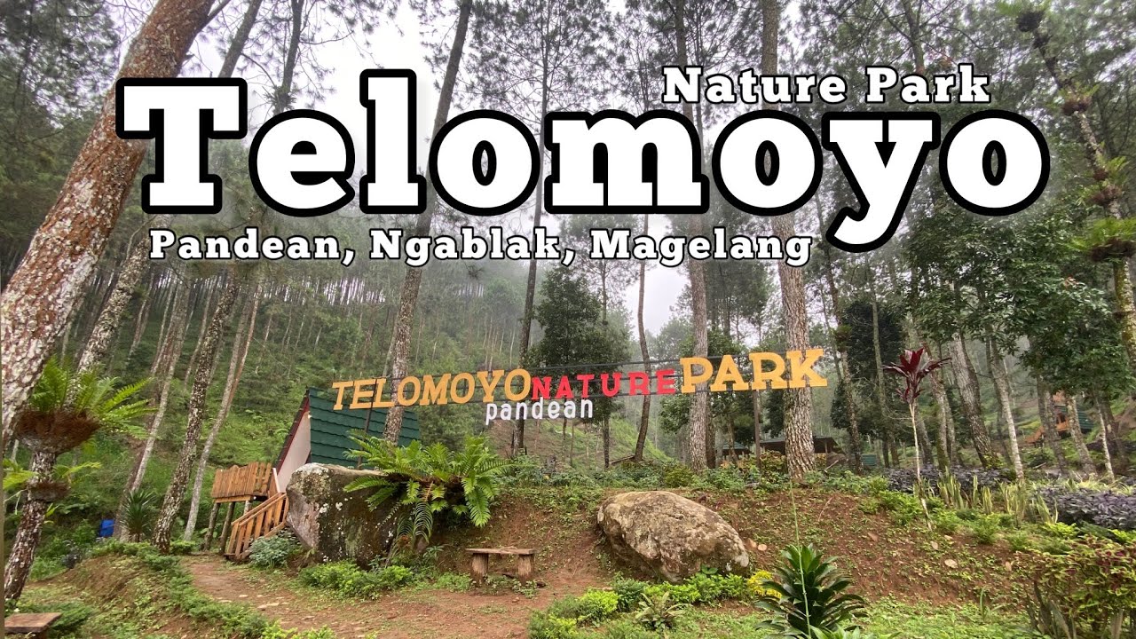 Telomoyo Nature Park: Pesona Alam dan Petualangan Menakjubkan